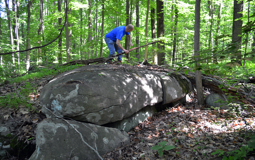 Herrontown Woods, United States